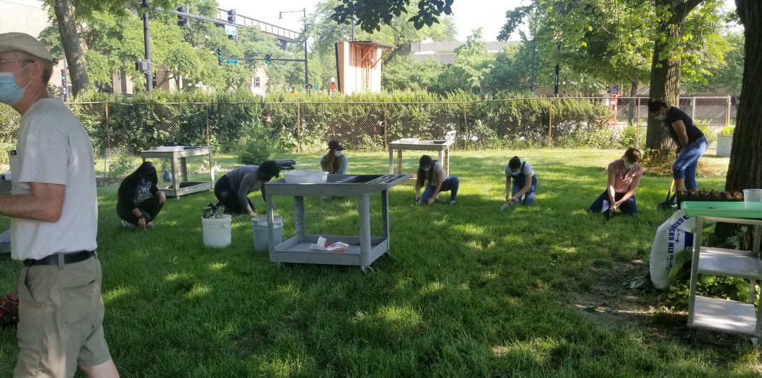 UIC interns learning proper way to plant