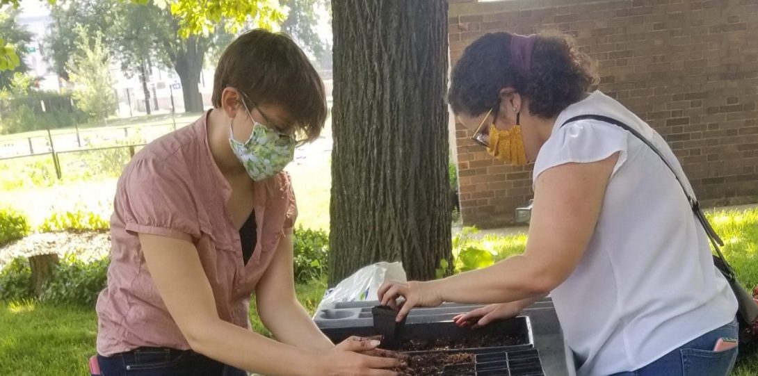 UIC interns teaming up to plant